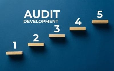 Ce presupune un audit într-o companie producătoare?