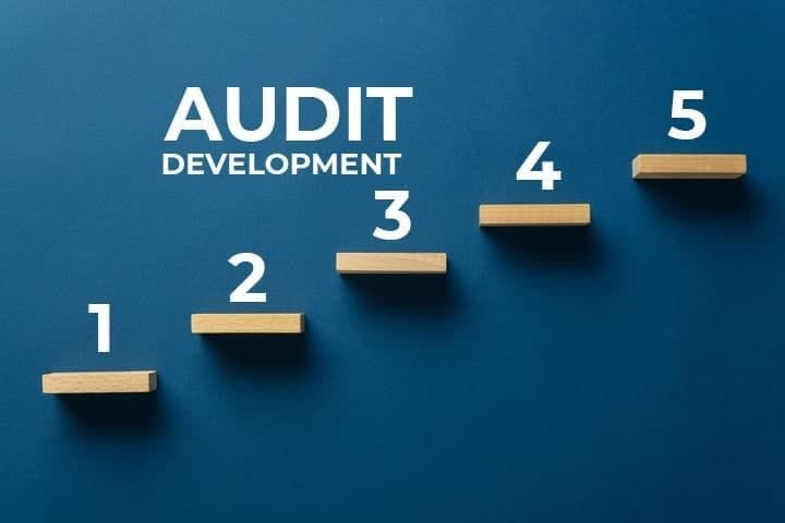 Ce presupune un audit într-o companie producătoare?