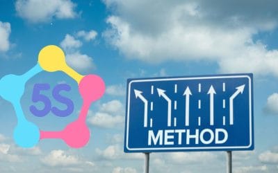 Metoda 5S: O Initiativă Puternică, Însă Cu Un Obstacol Major